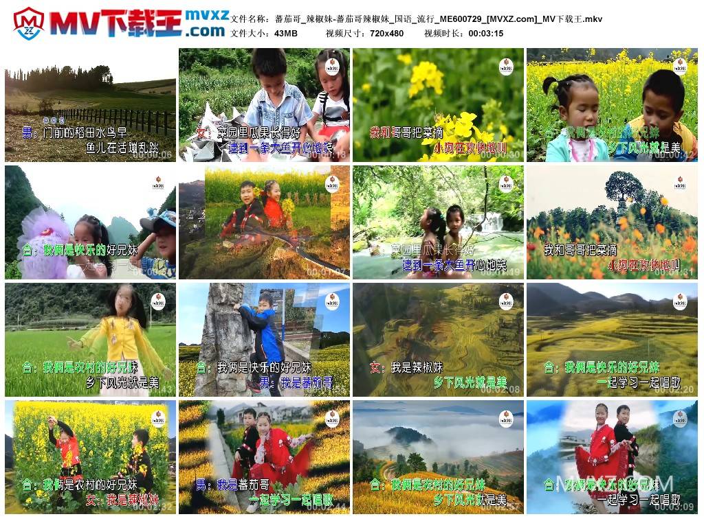 蕃茄哥_辣椒妹-蕃茄哥辣椒妹_国语_流行_ME600729